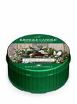 Kringle Candle Juniper & Laurel Świeczka Daylight 42g