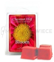 Chestnut Hill Bloom Wosk Zapachowy 85g