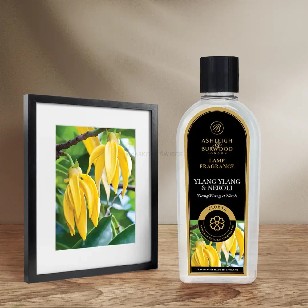 Ashleigh & Burwood Wkład do Lampy Zapachowej Ylang Ylang & Neroli 250ml