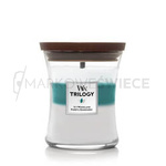 Woodwick Icy Woodland Trilogy Świeca Średnia Trilogy 275g
