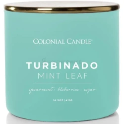 Colonial Candle Turbinado Mint Leaf Świeca Zapachowa Tumbler 411g