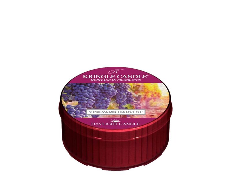 Kringle Candle Vineyard Harvest Świeczka Daylight 42g