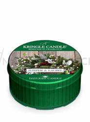 Kringle Candle Juniper & Laurel Świeczka Daylight 42g