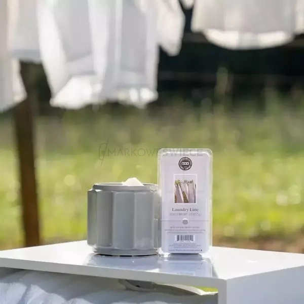 Bridgewater Candle Laundry Line Wosk zapachowy 73g