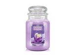 Country Candle Lavender Elixir Duża Świeca Zapachowa 652g
