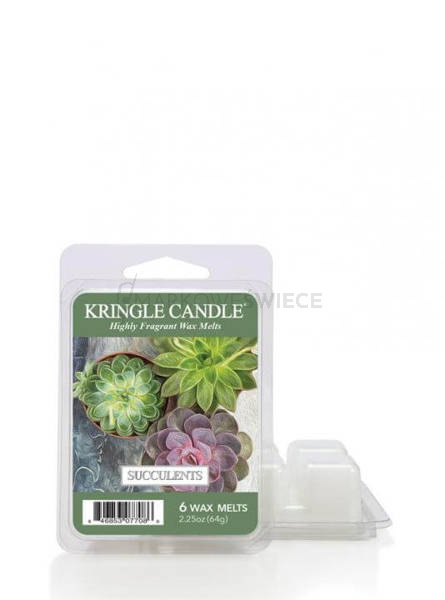 Kringle Candle Succulents Wosk Zapachowy 64g