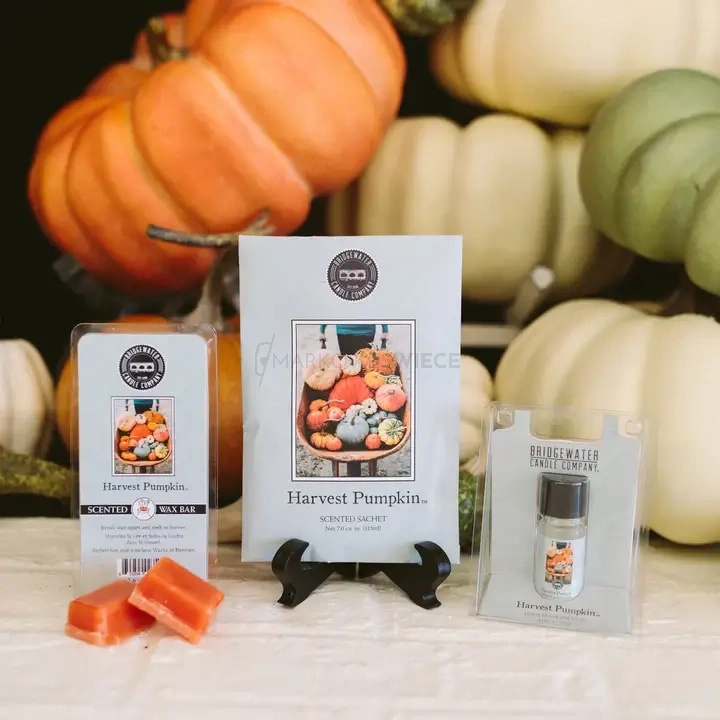 Bridgewater Candle Harvest Pumpkin Wosk zapachowy 73g