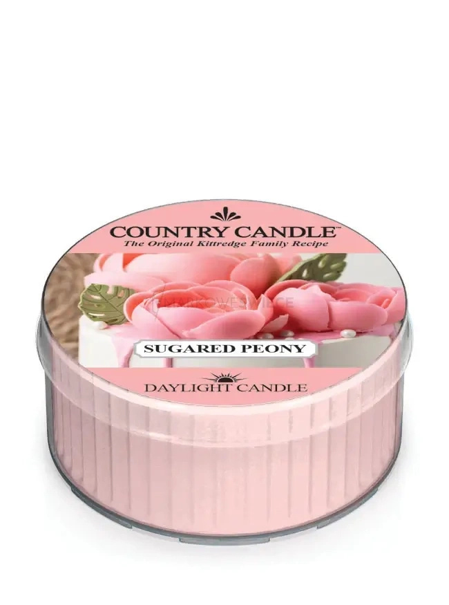 Country Candle Sugared Peony Świeca Daylight 42g