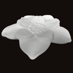 Zen'Arôme Kwiat do Dyfuzora Kapilarnego Narcisse