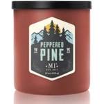 Colonial Candle Peppered Pine Świeca Zapachowa Tumbler 425g