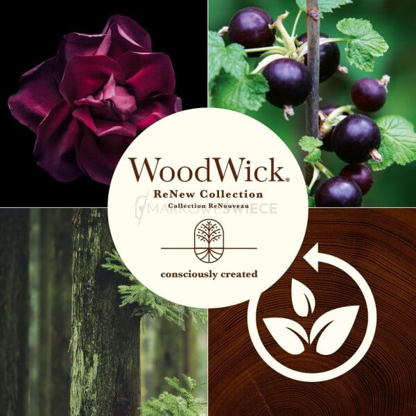 WoodWick Renew Black Currant & Rose 184g