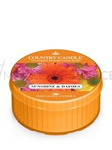 Country Candle Sunshine & Daisies Świeca Daylight 42g
