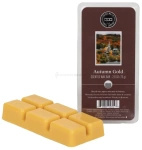 Bridgewater Candle Autumn Gold Wosk zapachowy 73g