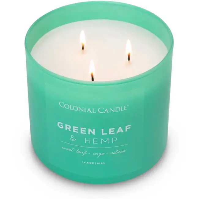 Colonial Candle Green Leaf Hemp Świeca Zapachowa Tumbler 411g