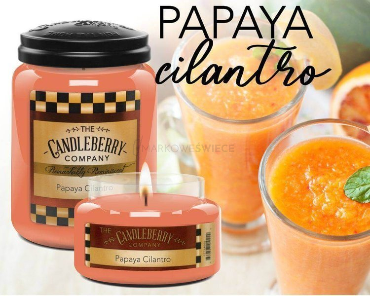 Candleberry Papaya Cilantro Duża Świeca Zapachowa 640g