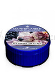 Country Candle Blueberry Cream Pop Świeca Daylight 42g