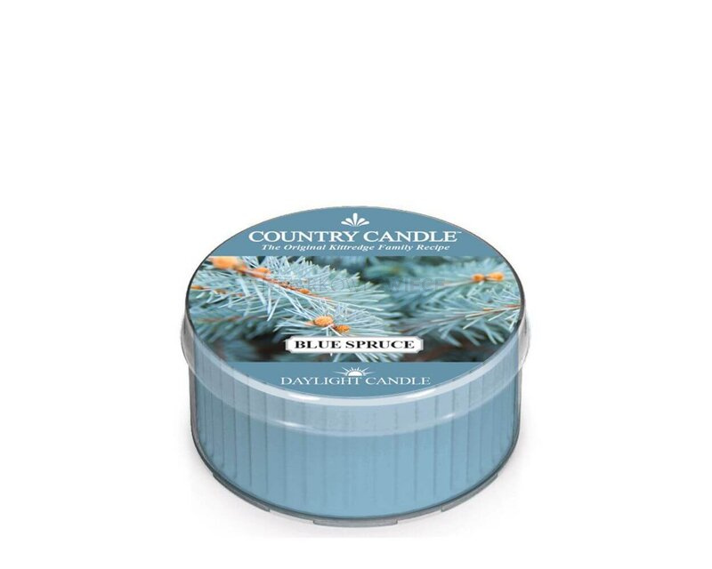 Country Candle Blue Spruce Świeca Daylight 42g