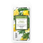 Colonial Candle Cedar & Citrus Wosk Zapachowy 77g