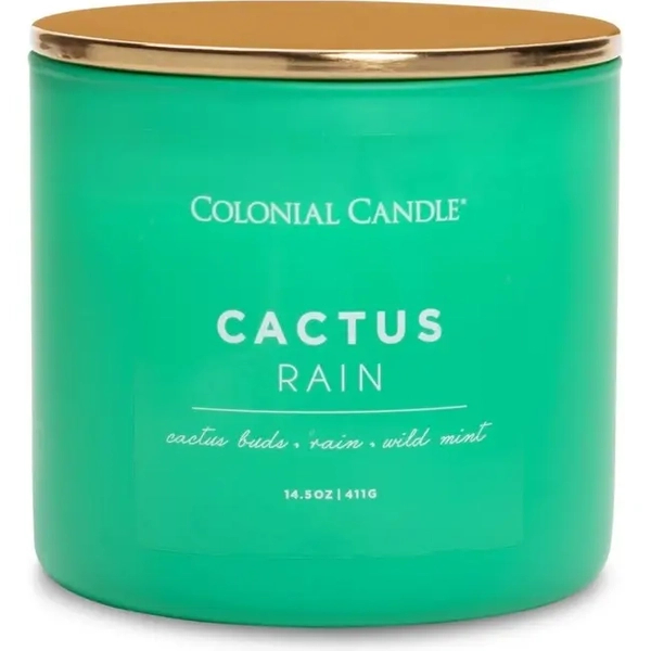 Colonial Candle Cactus Rain Świeca Zapachowa Tumbler 411g