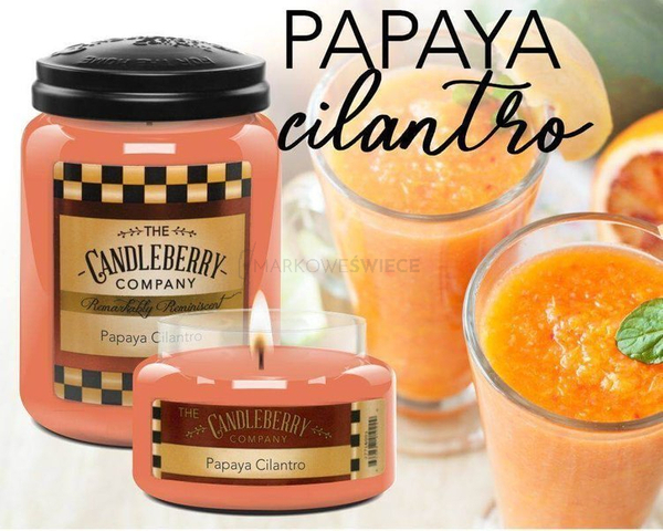 Candleberry Papaya Cilantro Duża Świeca Zapachowa 640g