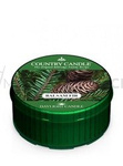 Country Candle Balsam Fir Świeca Daylight 42g