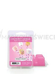 Country Candle Sweet Stuff Wosk Zapachowy 64g