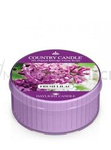 County Candle Fresh Lilac Świeca Daylight 42g