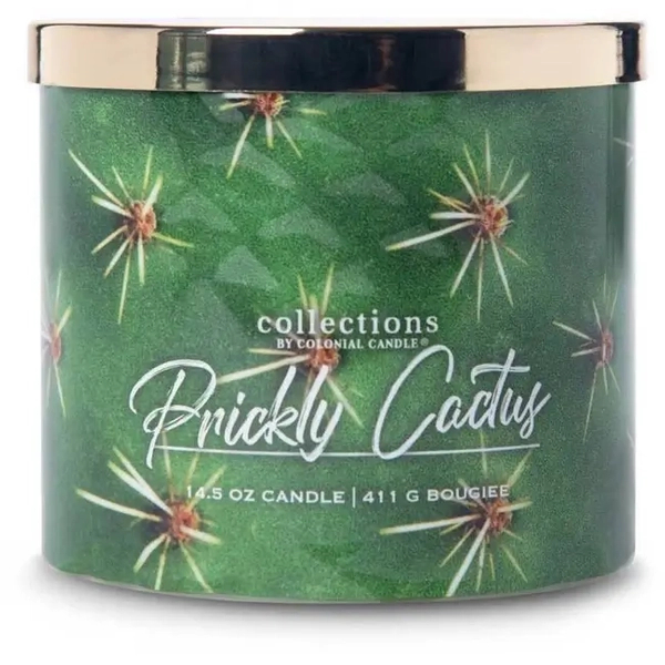 Colonial Candle Prickly Cactus Świeca Zapachowa Tumbler 411g