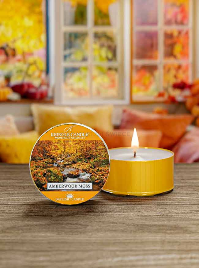 Kringle Candle Amberwood Moss Świeczka Daylight 42g