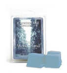 Chestnut Hill Winter Wonderland Wosk Zapachowy 85g