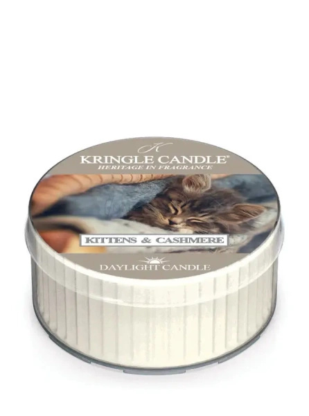 Kringle Candle Kittens & Cashmere Świeczka Daylight 42g