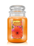 Country Candle Sunshine & Daisies Duża Świeca Zapachowa 652g