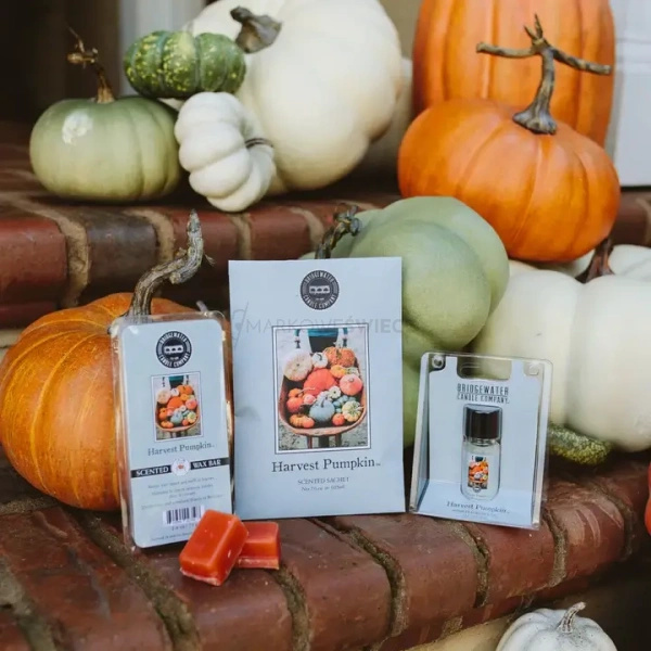 Bridgewater Candle Harvest Pumpkin Wosk zapachowy 73g