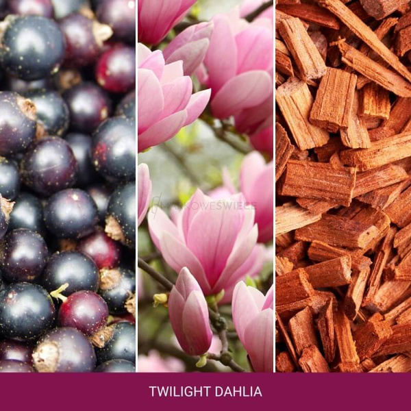 Yankee Candle Twilight Dahlia Wosk Zapachowy 75g