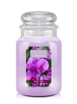 Country Candle Sweet Pea Duża Świeca Zapachowa 652g