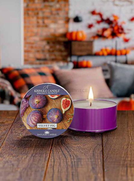 Kringle Candle Velvet Fig Świeczka Daylight 42g