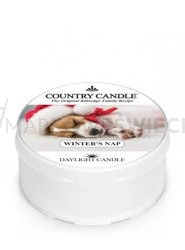 Country Candle Winter's Nap Świeca Daylight 42g