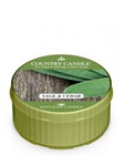 Country Candle Sage & Cedar Świeca Daylight 42g