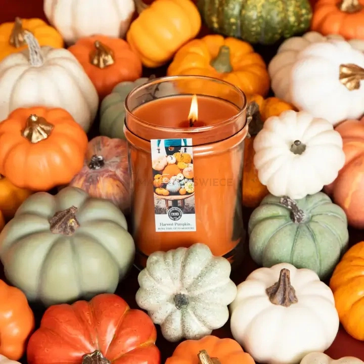 Bridgewater Candle Harvest Pumpkin Świeca Zapachowa 524g