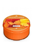 Country Candle Leaves Świeca Daylight 42g