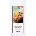 Purple River Tropical Dreams Wosk Sojowy Zapachowy 50g