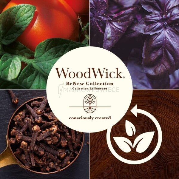 WoodWick Renew Tomato Leaf & Basil Świeca 184g