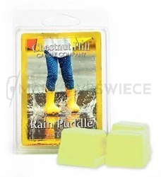 Chestnut Hill Rain Puddle Wosk Zapachowy 85g