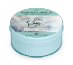 Kringle Candle Winter Cypress Świeczka Daylight 42g