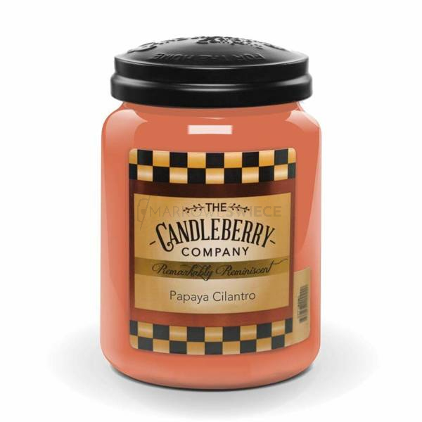 Candleberry Papaya Cilantro Duża Świeca Zapachowa 640g