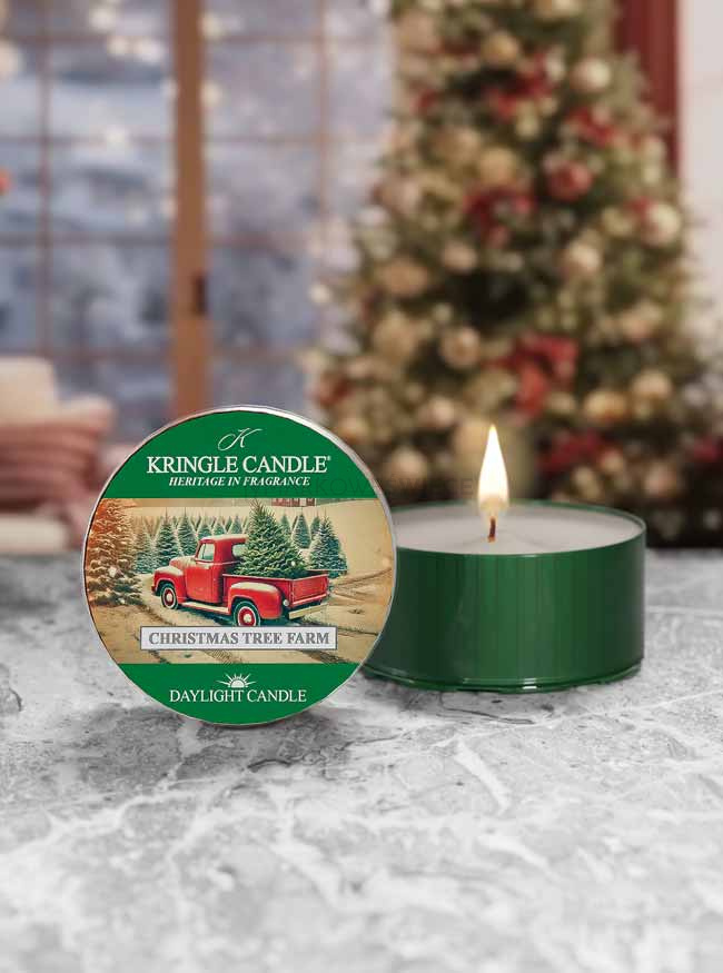 Kringle Candle Christmas Tree Farm Świeczka Daylight 42g