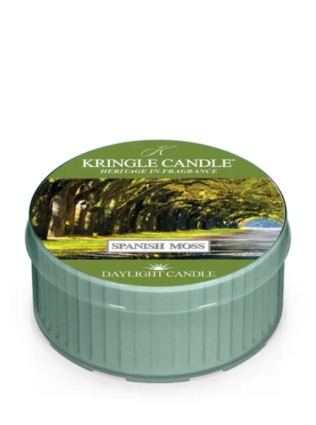 Kringle Candle Spanish Moss Świeczka Daylight 42g