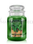 Country Candle Balsam & Cedar Duża Świeca Zapachowa 652g