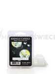 Kringle Candle Black Pepper & Gin Wosk Zapachowy 64g