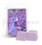 Chestnut Hill Lilac Wosk Zapachowy 85g
